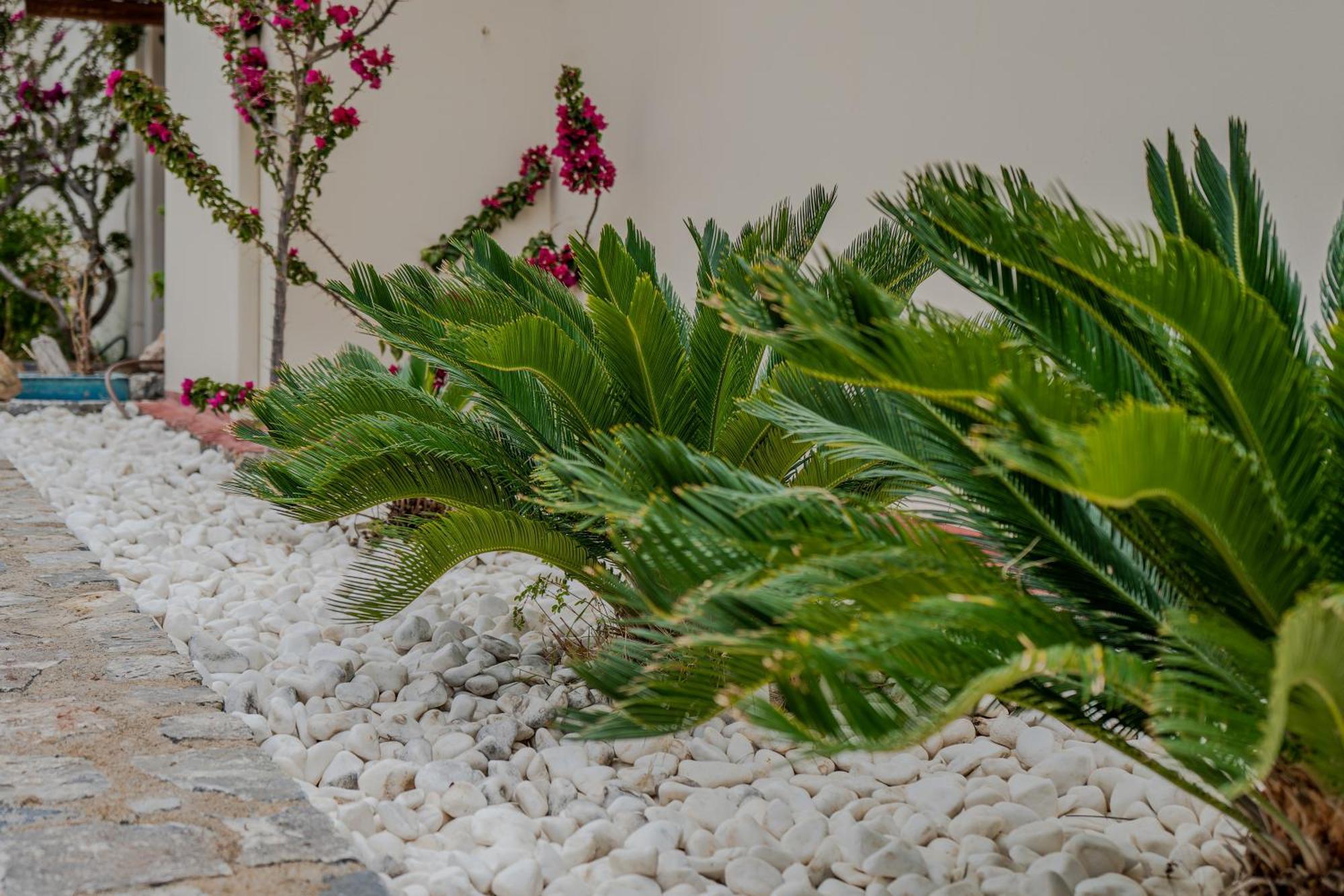Elounda Sunrise Villa Ngoại thất bức ảnh